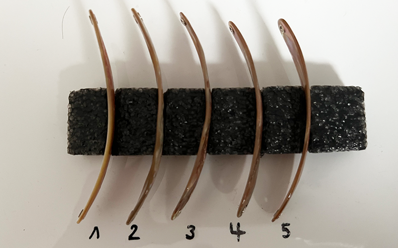 Goldfisch Premium Perlmutt-Spange 10cm