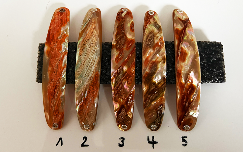 Goldfisch Premium Perlmutt-Spange 10cm