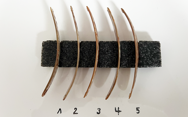Goldfisch Premium Perlmutt-Spange 11cm