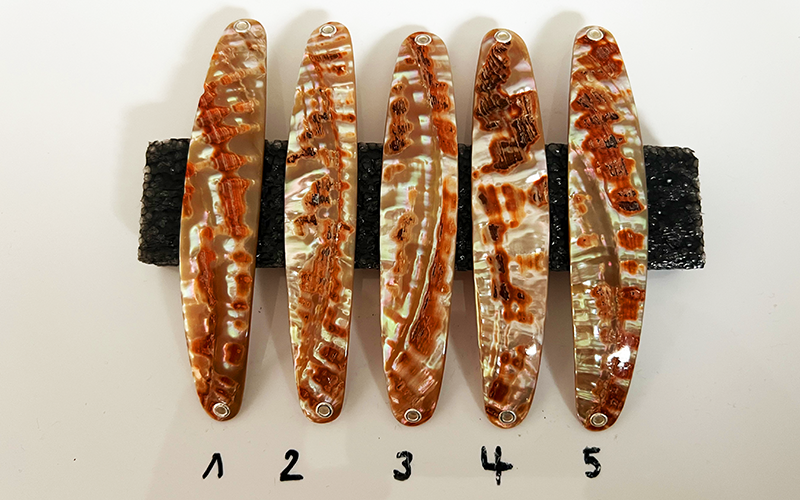 Goldfisch Premium Perlmutt-Spange 11cm
