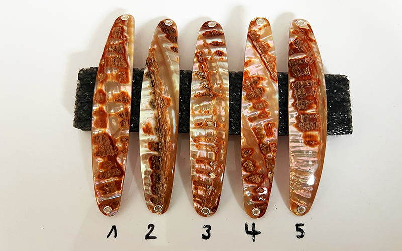 Goldfisch Premium Perlmutt-Spange 11cm