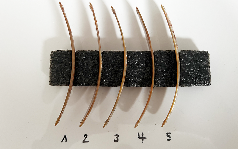 Goldfisch Premium Perlmutt-Spange 11cm
