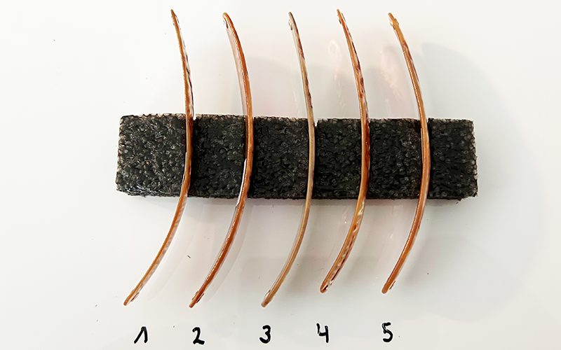 Goldfisch Premium Perlmutt-Spange 12cm
