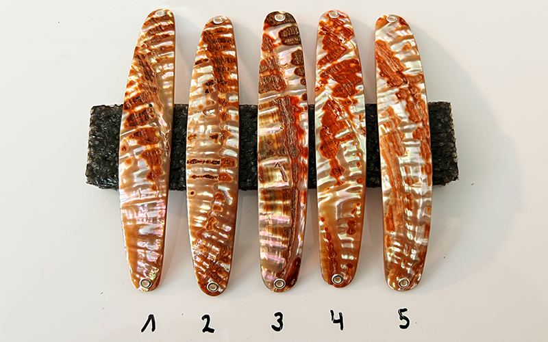 Goldfisch Premium Perlmutt-Spange 12cm