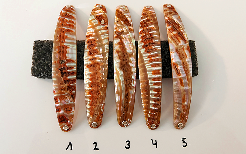 Goldfisch Premium Perlmutt-Spange 12cm
