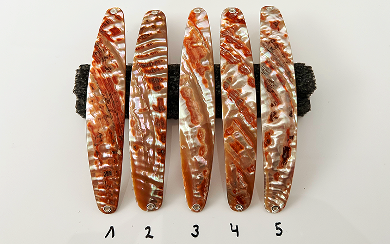 Goldfisch Premium Perlmutt-Spange 13cm