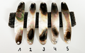 White Shadow Premium Perlmutt-Spange 10cm