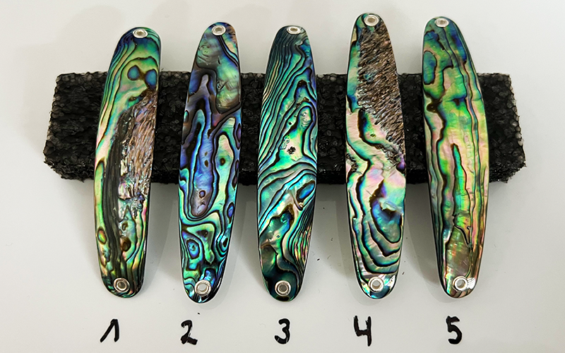 Paua Premium Perlmutt-Spange 9cm