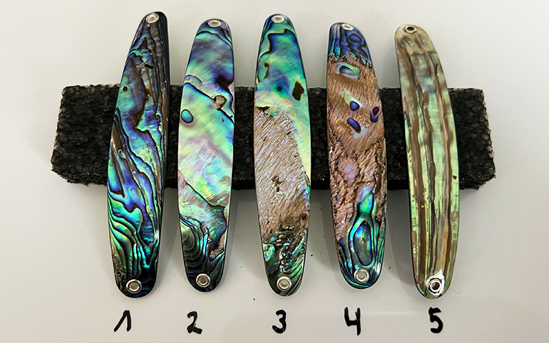 Paua Premium Perlmutt-Spange 10cm
