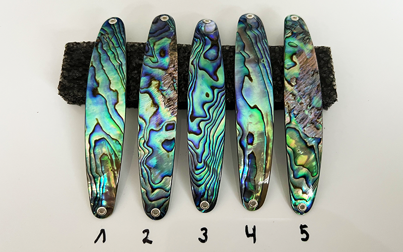 Paua Premium Perlmutt-Spange 11cm