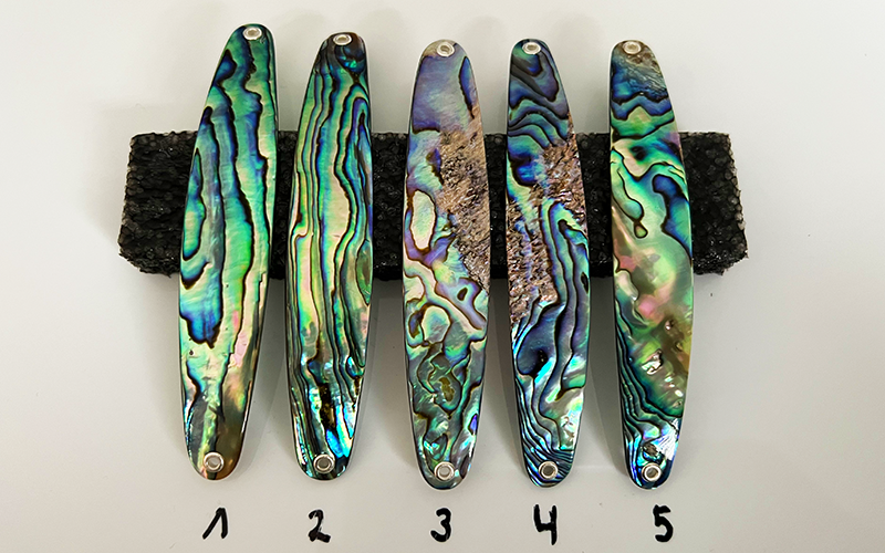 Paua Premium Perlmutt-Spange 11cm