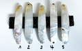 Crystal Premium Perlmutt-Spange 9cm