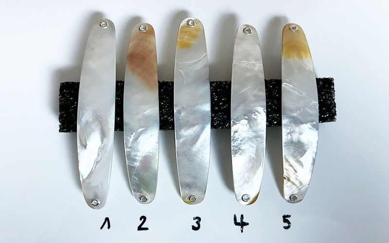 Crystal Premium Perlmutt-Spange 10cm