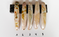 Rainbow Color Premium Perlmutt-Spange 11cm