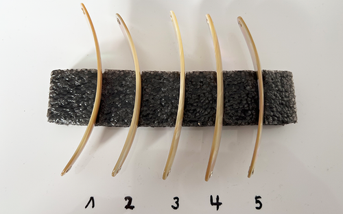 Burgus blank Premium Perlmutt-Spange 10cm
