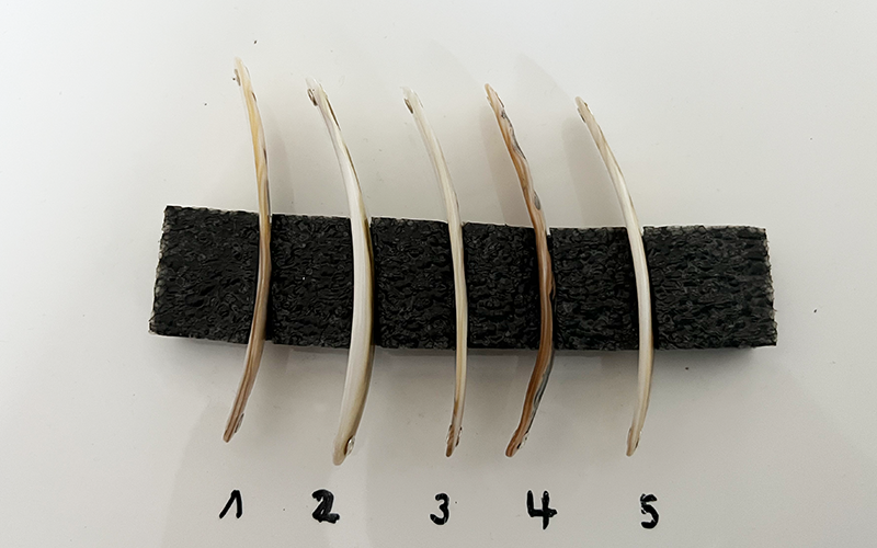 Tiger Premium Perlmutt-Spange 9cm