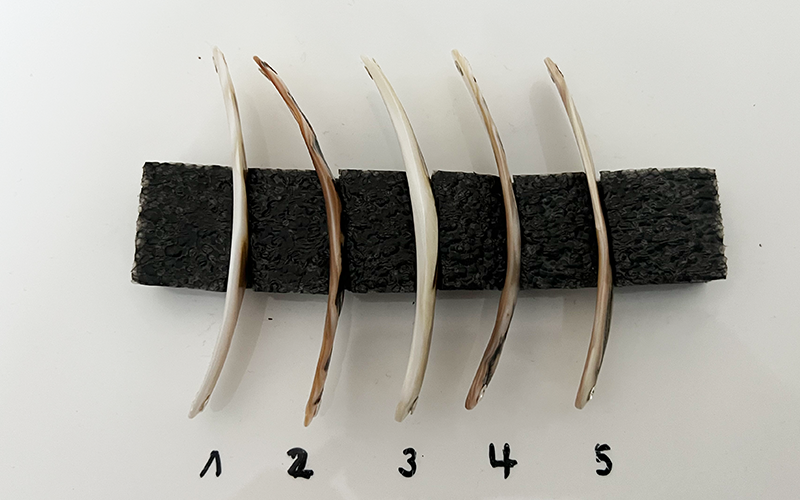 Tiger Premium Perlmutt-Spange 9cm