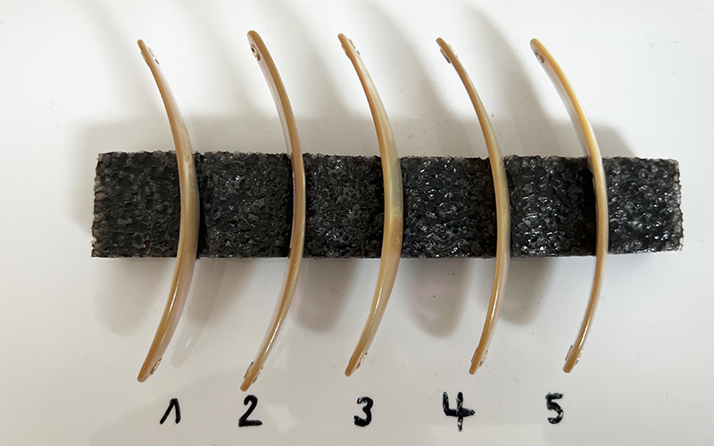 Burgus blank Premium Perlmutt-Spange 8cm