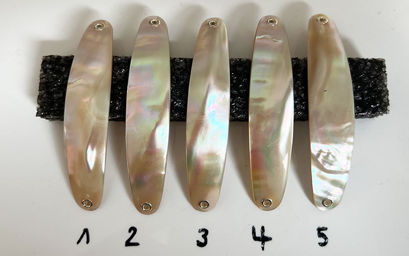 Burgus blank Premium Perlmutt-Spange 8cm