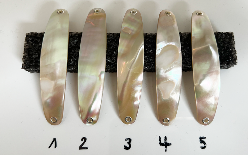 Burgus blank Premium Perlmutt-Spange 8cm