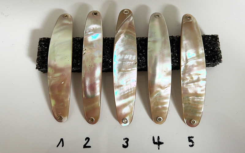 Burgus blank Premium Perlmutt-Spange 9cm