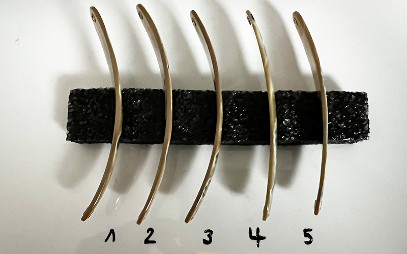 Burgus Premium Perlmutt-Spange 10cm