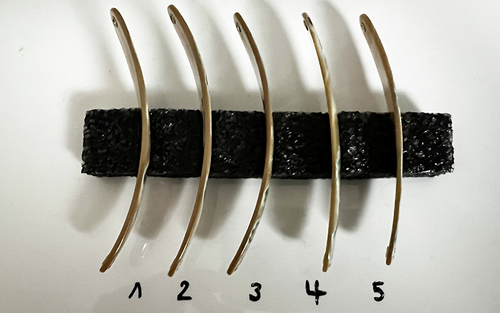 Burgus Premium Perlmutt-Spange 10cm