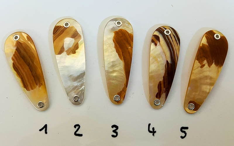 Gold Lip Premium Perlmutt-Tropfen 6cm