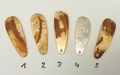 Gold Lip Premium Perlmutt-Tropfen 7cm