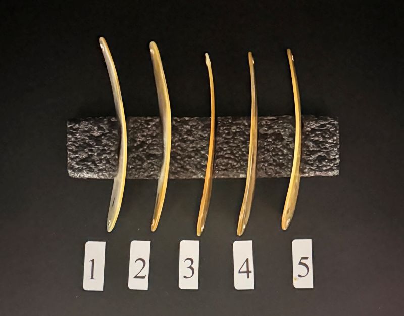 Gold Lip Premium Perlmutt-Tropfen 10cm
