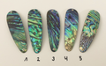 Paua Premium Perlmutt-Tropfen 10cm