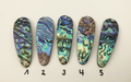 Paua Premium Perlmutt-Tropfen 8cm