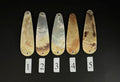 Gold Lip Premium Perlmutt-Tropfen 8cm