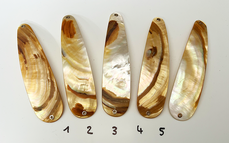 Gold Lip Premium Perlmutt-Tropfen 12cm