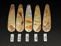 Gold Lip Premium Perlmutt-Tropfen 10cm