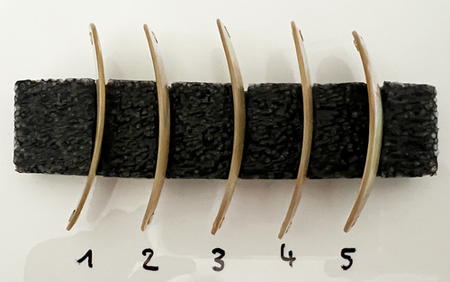 Burgus blank Premium Perlmutt-Tropfen 7cm