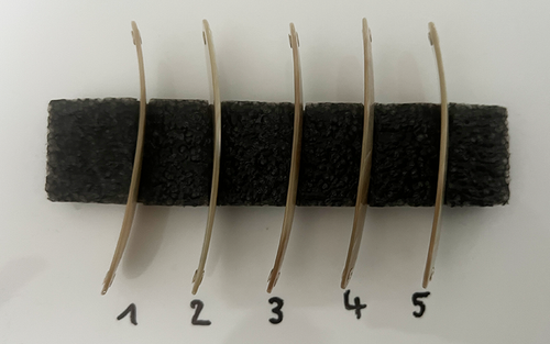 Burgus blank Premium Perlmutt-Tropfen 8cm