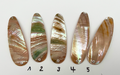 Rainbow Premium Perlmutt-Tropfen 10cm