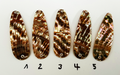 Goldfisch Premium Perlmutt-Tropfen 8cm