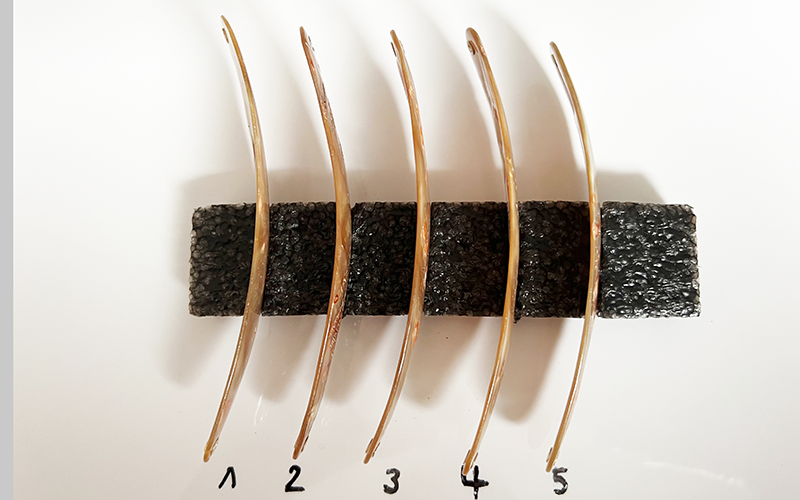 Goldfisch Premium Perlmutt-Tropfen 12cm