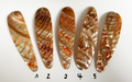 Goldfisch Premium Perlmutt-Tropfen 12cm