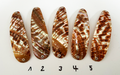Goldfisch Premium Perlmutt-Tropfen 10cm