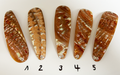 Goldfisch Premium Perlmutt-Tropfen 10cm