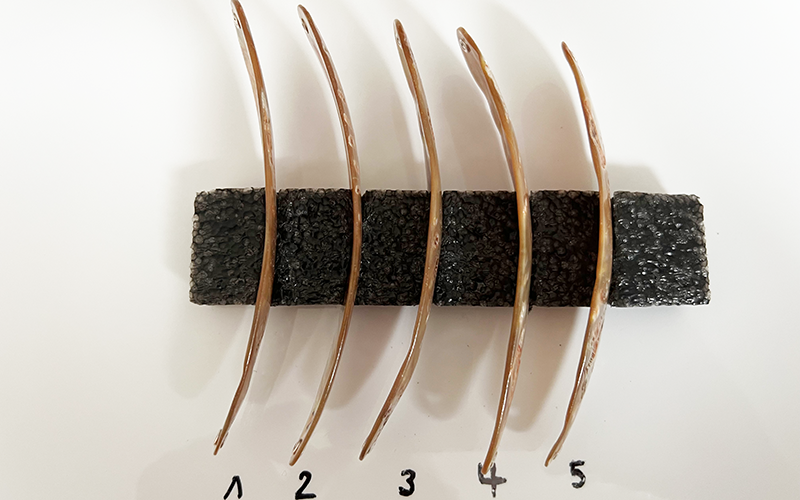 Goldfisch Premium Perlmutt-Tropfen 12cm