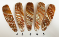Goldfisch Premium Perlmutt-Tropfen 12cm
