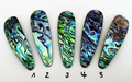 Paua Premium Perlmutt-Tropfen 10cm