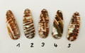 Goldfisch Premium Perlmutt-Tropfen 7cm