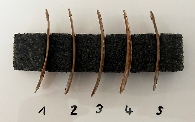 Goldfisch Premium Perlmutt-Tropfen 7cm