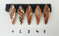 Saibling Goldfisch Perlmutt Sarg Spoon 6,5cm