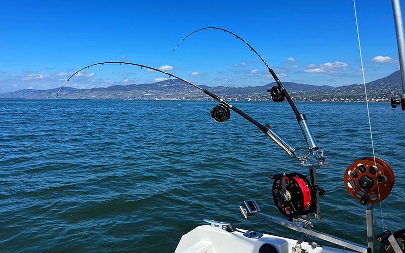 Roc Downrigger Rute